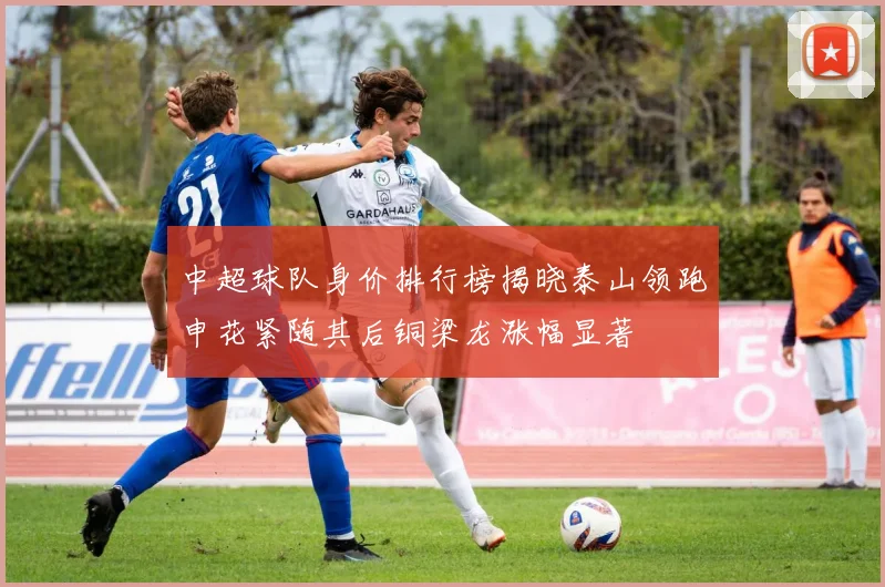 中超球队身价排行榜揭晓泰山领跑申花紧随其后铜梁龙涨幅显著