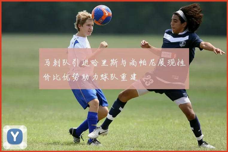 马刺队引进哈里斯与尚帕尼展现性价比优势助力球队重建