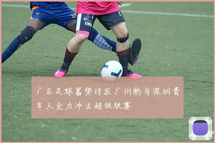 广东足球蓄势待发广州豹与深圳青年人全力冲击超级联赛